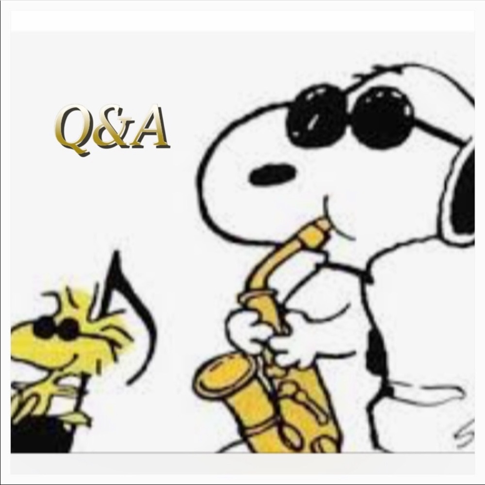 🍂LIKE NEW Q/A LISTING🍂